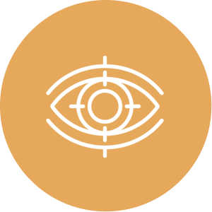 Vision emblem on orange background